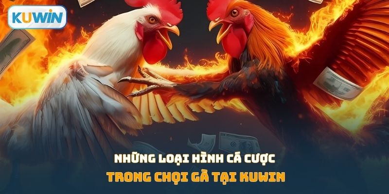 Những loại hình cá cược trong chọi gà tại KUWIN