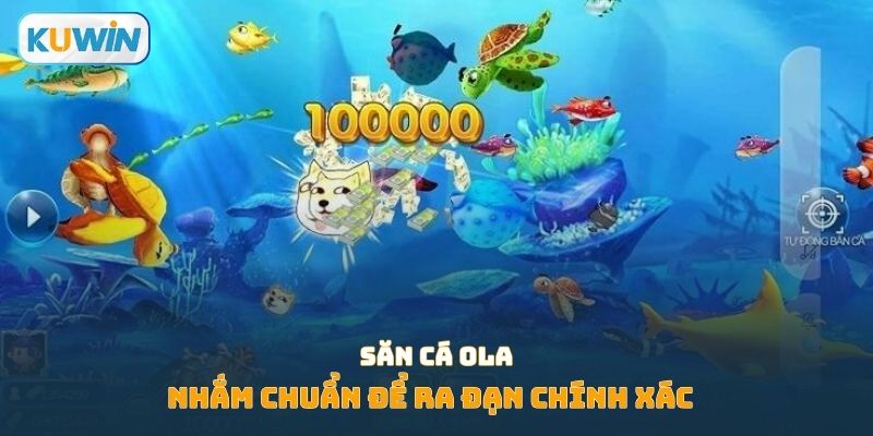 Nhắm chuẩn để ra đạn chính xác trong săn cá ola