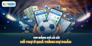 Tip bóng đá là gì