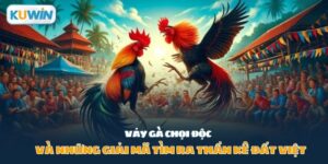 vảy gà chọi độc